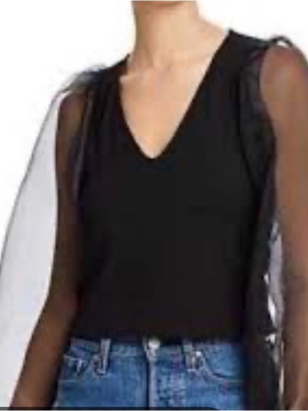 Aqua Black V-Neck Sheer Balloon Sleeve Blouse